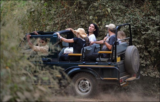 الكوميدي راسل براند يتزوج كاتي بيري ولكن.. في محمية للنمور صورة رقم 16 الكوميدي راسل براند يتزوج كاتي بيري ولكن.. في محمية للنمور صورة رقم 16