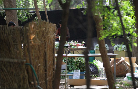 الكوميدي راسل براند يتزوج كاتي بيري ولكن.. في محمية للنمور صورة رقم 9 الكوميدي راسل براند يتزوج كاتي بيري ولكن.. في محمية للنمور صورة رقم 9