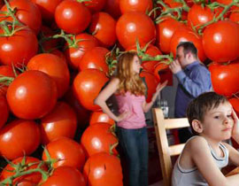 طلقها بالثلاث والسبب.. 3 كيلو بندورة! صورة رقم 1