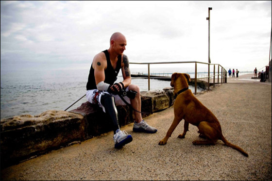 70 ضحية سنويا.. القرش عدو الإنسان الأول تحت الماء! صورة رقم 6 70 ضحية سنويا.. القرش عدو الإنسان الأول تحت الماء! صورة رقم 6