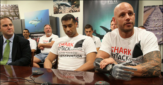 70 ضحية سنويا.. القرش عدو الإنسان الأول تحت الماء! صورة رقم 3 70 ضحية سنويا.. القرش عدو الإنسان الأول تحت الماء! صورة رقم 3