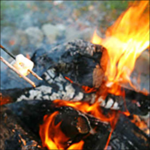 الوالدان شكا في سلوك طفلتهما.. فقاما بكي جسمها! صورة رقم 1