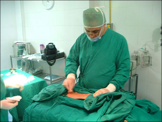 بالصور.. استئصال ورم يزن 7 كيلو من بطن طفل!  صورة رقم 4