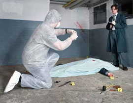 مصري قتل صديقه ودفنه في غرفة النوم لعدم تسديد الضحية دينه! صورة رقم 1 مصري قتل صديقه ودفنه في غرفة النوم لعدم تسديد الضحية دينه! صورة رقم 1