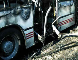 مأساة.. زفاف ينتج عنه 16 قتيلا!! صورة رقم 1 مأساة.. زفاف ينتج عنه 16 قتيلا!! صورة رقم 1