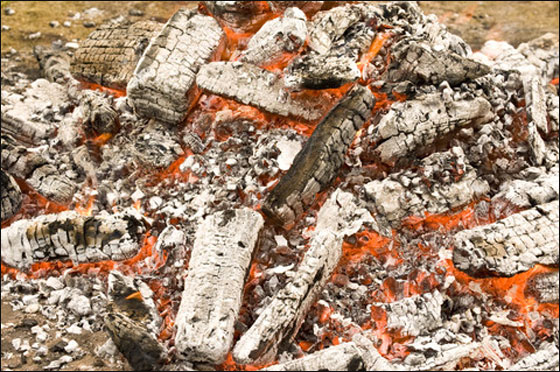 14 مصابا بحروق اثناء سيرهم حفاة على جمرات النار! صورة رقم 7 14 مصابا بحروق اثناء سيرهم حفاة على جمرات النار! صورة رقم 7