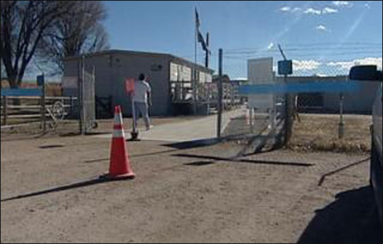 توأمتان تستخدمان مسدسين وتنتحرا!! صورة رقم 4 توأمتان تستخدمان مسدسين وتنتحرا!! صورة رقم 4