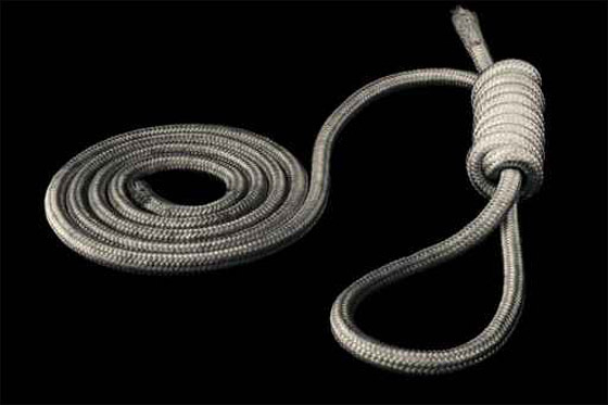 قاصر ياباني قتل حبيبته وشقيقتها.. فطالب المدعين باعدامه! صورة رقم 1