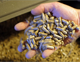 في الصيف.. روسيا أصيبت بأسوأ جفاف شهدته منذ أكثر من قرن! صورة رقم 1 في الصيف.. روسيا أصيبت بأسوأ جفاف شهدته منذ أكثر من قرن! صورة رقم 1