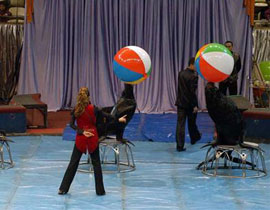 بهلوانات اسبانية في رام الله بهدف الـ