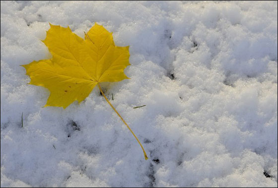 الثلج يغزو بريطانيا في أبكر شتاء منذ 17 عاما!!! صورة رقم 3 الثلج يغزو بريطانيا في أبكر شتاء منذ 17 عاما!!! صورة رقم 3