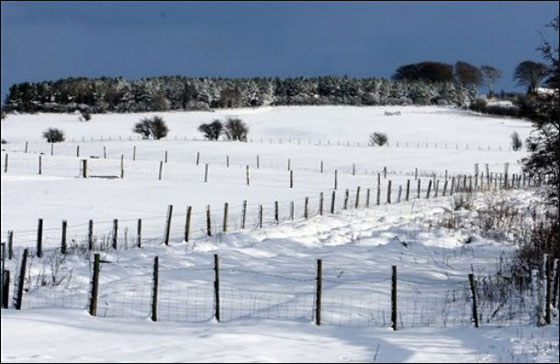 الثلج يغزو بريطانيا في أبكر شتاء منذ 17 عاما!!! صورة رقم 8 الثلج يغزو بريطانيا في أبكر شتاء منذ 17 عاما!!! صورة رقم 8
