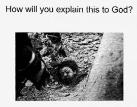 ارسال بطاقات عليها صورة طفل ميت لعسكريين اسرائيليين!!  صورة رقم 1