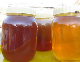 اقبال كبير على شراء عسل السدر المعالج لتردي الحالة الذكورية! صورة رقم 1 اقبال كبير على شراء عسل السدر المعالج لتردي الحالة الذكورية! صورة رقم 1