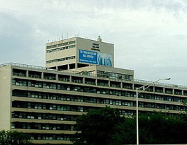 زوج يحفر كلمات بذيئة على جسد زوجته بمفتاح شقتهما!! صورة رقم 1 زوج يحفر كلمات بذيئة على جسد زوجته بمفتاح شقتهما!! صورة رقم 1