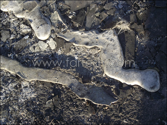 مسلسلات اون لاين يلتقط صورا للحافلة التي اشتعلت فيها النيران  صورة رقم 7