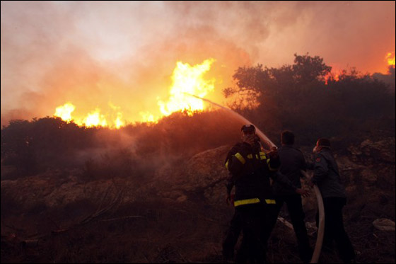 المزيد من الصور للكارثة في الكرمل  صورة رقم 2