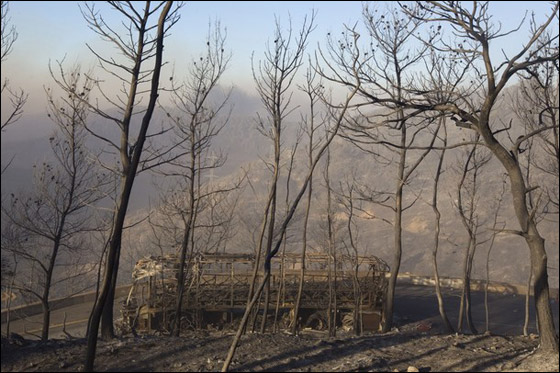 المزيد من الصور للكارثة في الكرمل  صورة رقم 11