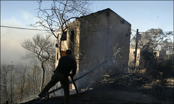 المزيد من الصور للكارثة في الكرمل  صورة رقم 3