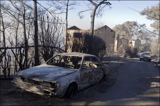 المزيد من الصور للكارثة في الكرمل  صورة رقم 7