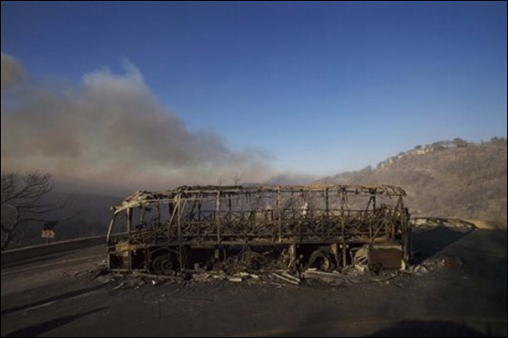 المزيد من الصور للكارثة في الكرمل  صورة رقم 10