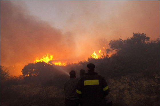 المزيد من الصور للكارثة في الكرمل  صورة رقم 28