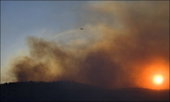 المزيد من الصور للكارثة في الكرمل  صورة رقم 13