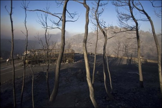 المزيد من الصور للكارثة في الكرمل  صورة رقم 16