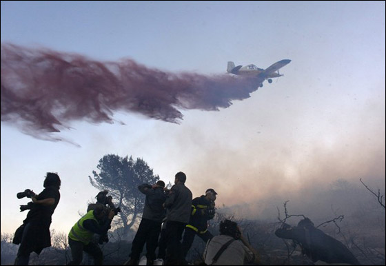 المزيد من الصور للكارثة في الكرمل  صورة رقم 18