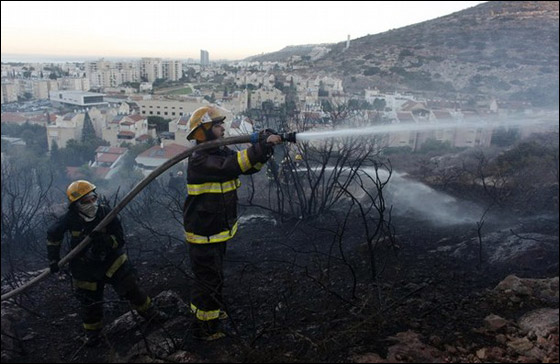 المزيد من الصور للكارثة في الكرمل  صورة رقم 42