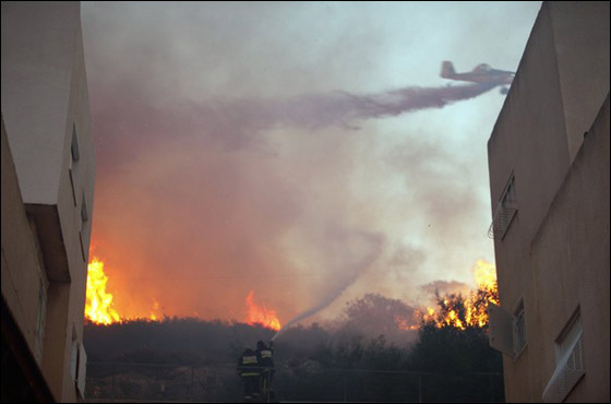 المزيد من الصور للكارثة في الكرمل  صورة رقم 17