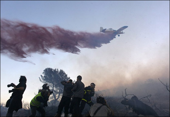 المزيد من الصور للكارثة في الكرمل  صورة رقم 19