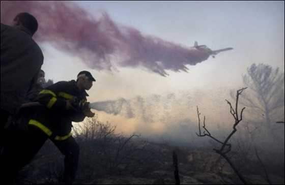 المزيد من الصور للكارثة في الكرمل  صورة رقم 21