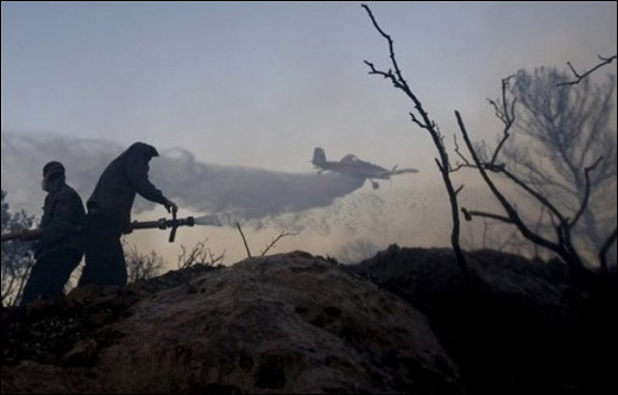 المزيد من الصور للكارثة في الكرمل  صورة رقم 23