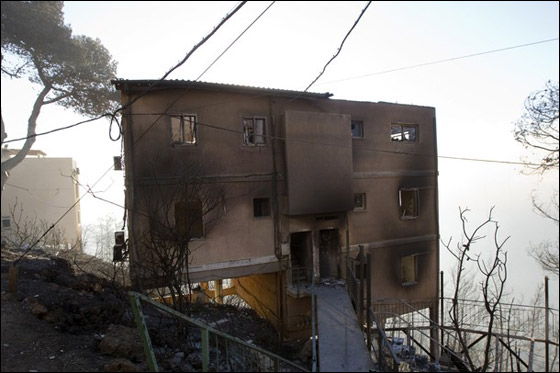 المزيد من الصور للكارثة في الكرمل  صورة رقم 35