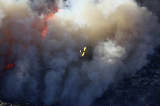 المزيد من الصور للكارثة في الكرمل  صورة رقم 22