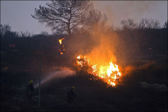 المزيد من الصور للكارثة في الكرمل  صورة رقم 36