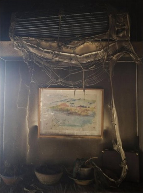 المزيد من الصور للكارثة في الكرمل  صورة رقم 26