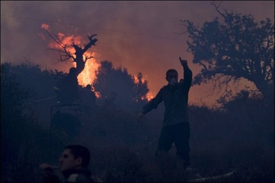 المزيد من الصور للكارثة في الكرمل  صورة رقم 30