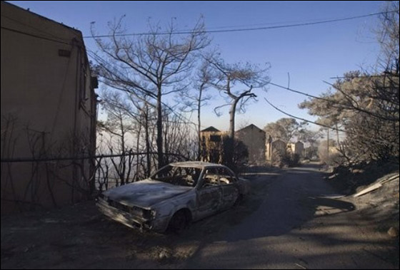 المزيد من الصور للكارثة في الكرمل  صورة رقم 39