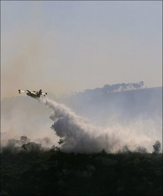 المزيد من الصور للكارثة في الكرمل  صورة رقم 33