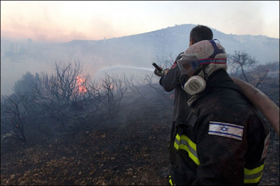 المزيد من الصور للكارثة في الكرمل  صورة رقم 43