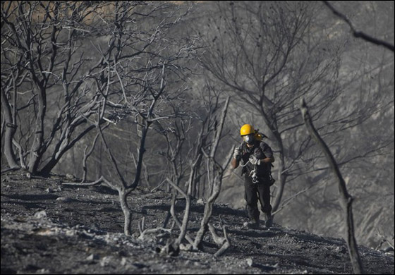 المزيد من الصور للكارثة في الكرمل  صورة رقم 9