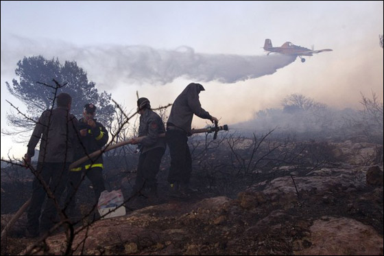 المزيد من الصور للكارثة في الكرمل  صورة رقم 4