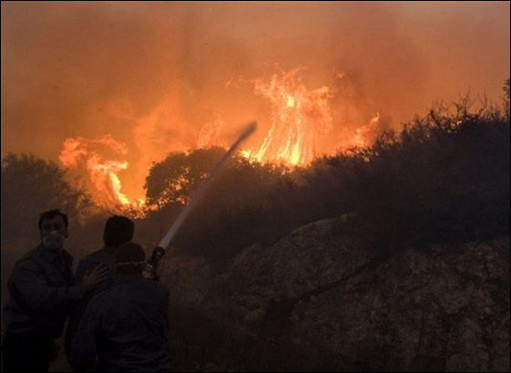 المزيد من الصور للكارثة في الكرمل  صورة رقم 5