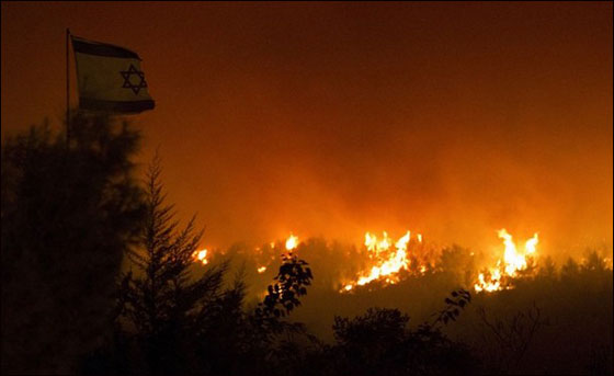 اتجاه الرياح وسرعتها تعيق السيطرة على النيران  صورة رقم 7