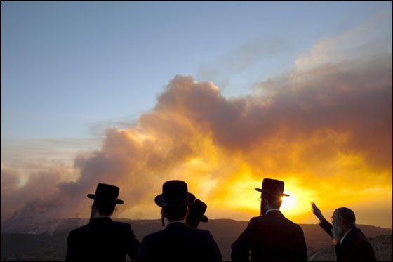 اتجاه الرياح وسرعتها تعيق السيطرة على النيران  صورة رقم 8