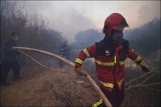 رغم المساعدات.. لن تنجح السيطرة على النيران قبل مساء الغد  صورة رقم 4