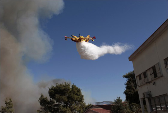 رغم المساعدات.. لن تنجح السيطرة على النيران قبل مساء الغد  صورة رقم 6