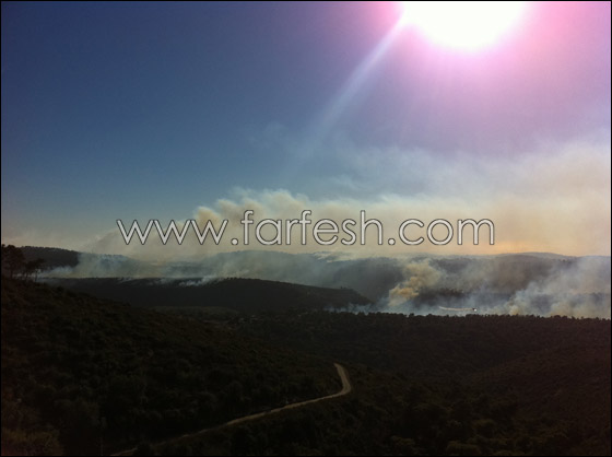 الشرطة: اهمال المواطنين هو السبب لاندلاع حريق الكرمل  صورة رقم 1